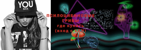 шишки Россошь