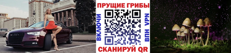 Псилоцибиновые грибы GOLDEN TEACHER  Белая Калитва 