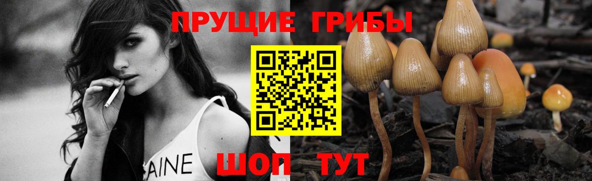 Галлюциногенные грибы Cubensis  Вход с VPN  Белая Калитва 